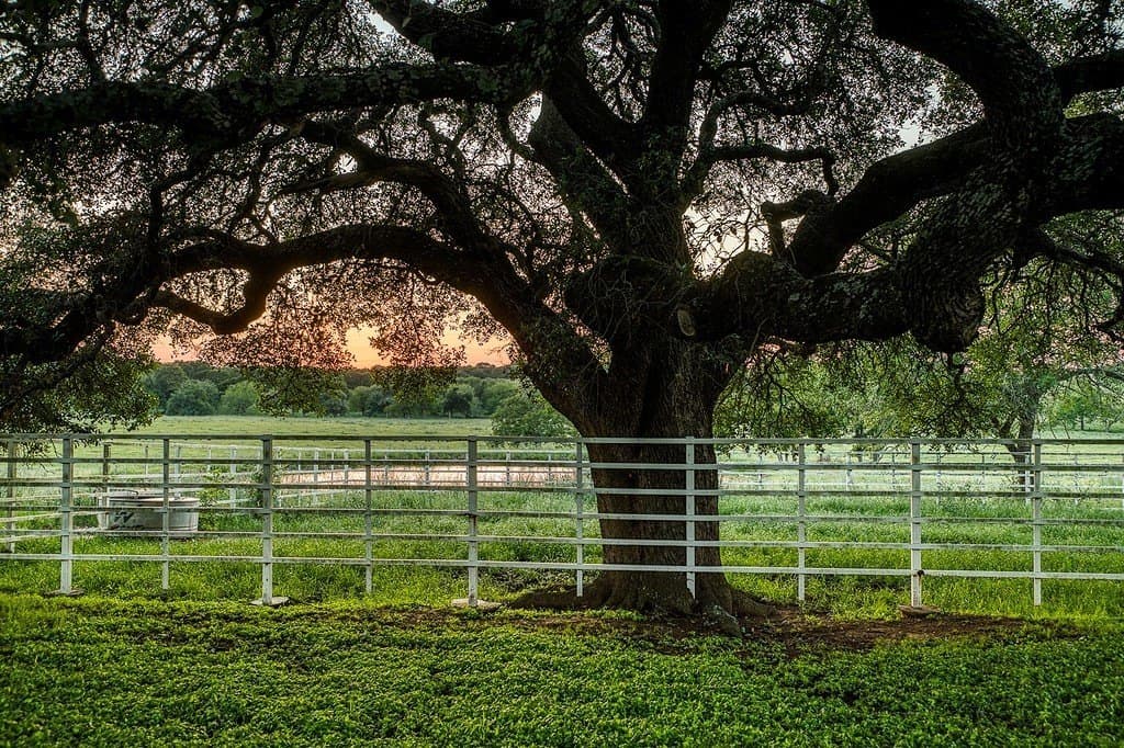 247.68 acres in Washington County - photo 5
