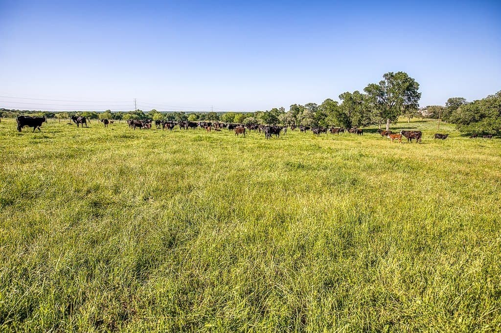 247.68 acres in Washington County - photo 21