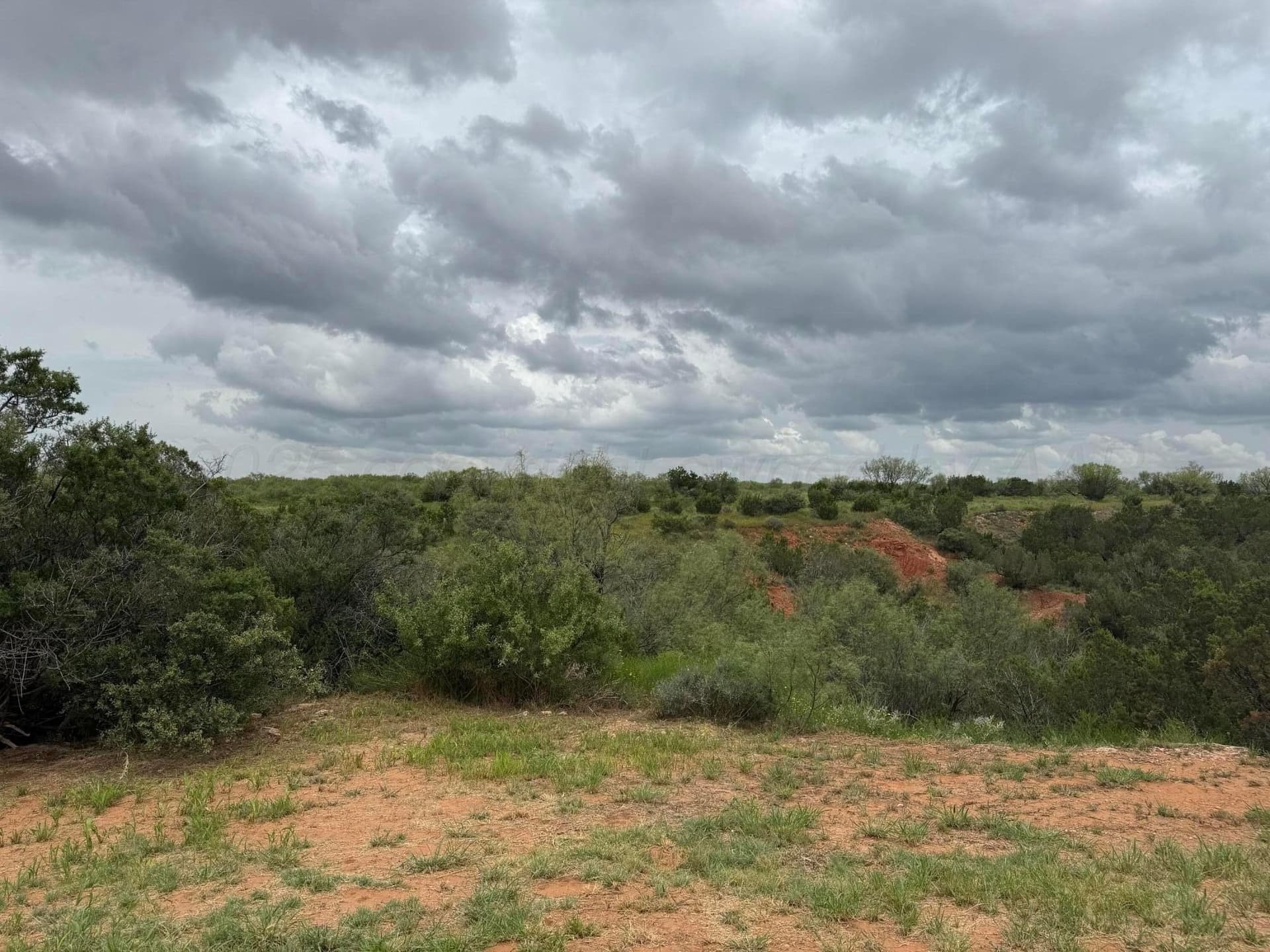 395.5 acres in Childress County - photo 6
