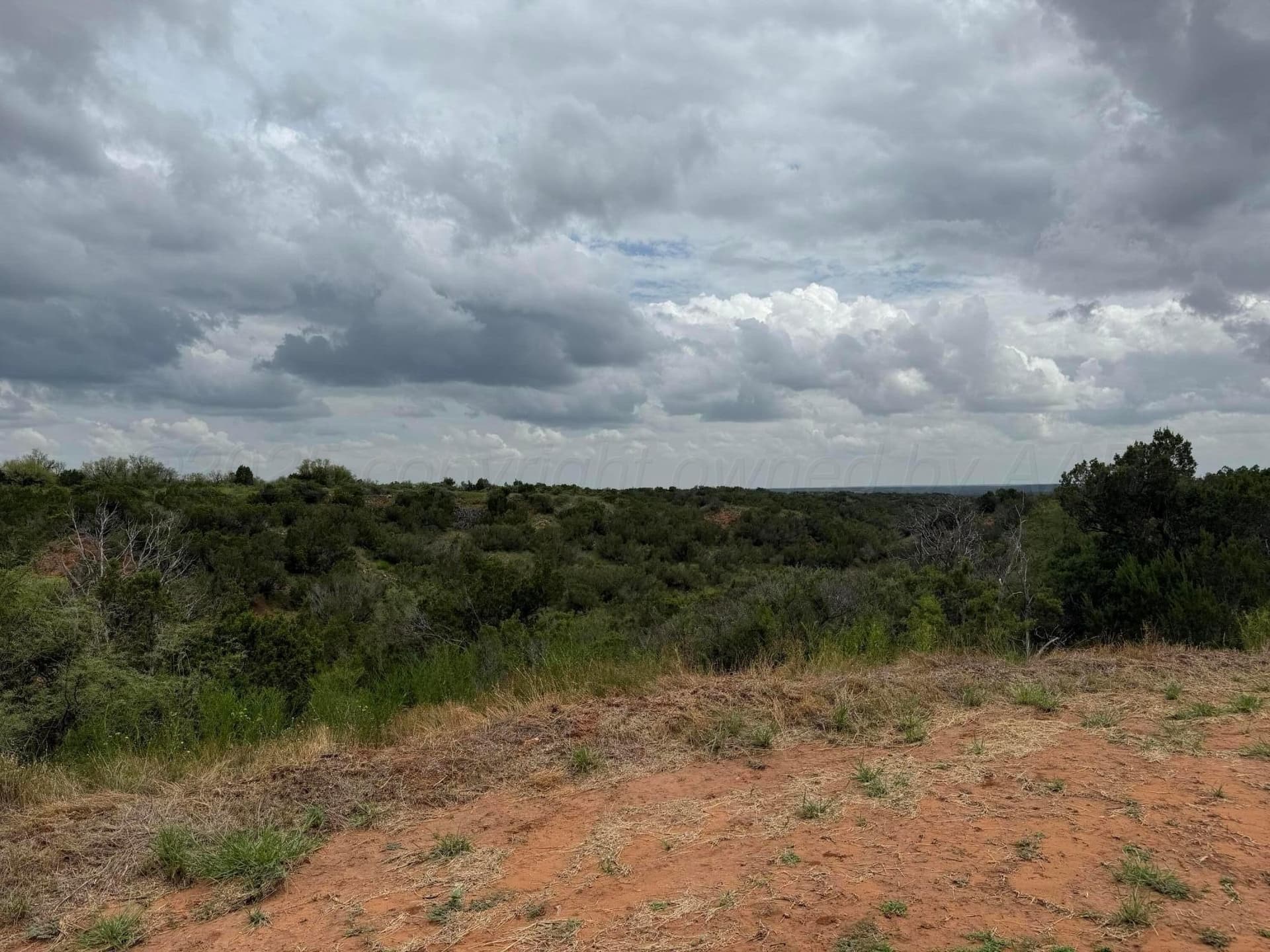395.5 acres in Childress County - photo 8