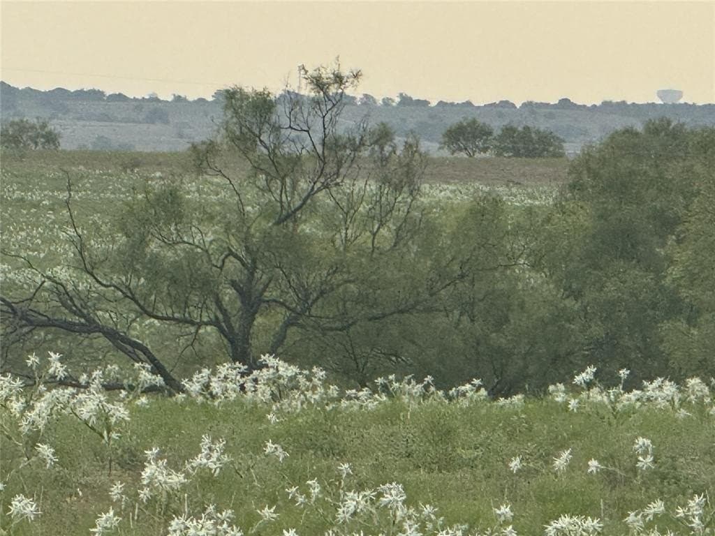 10.1 acres in Wise County - photo 4