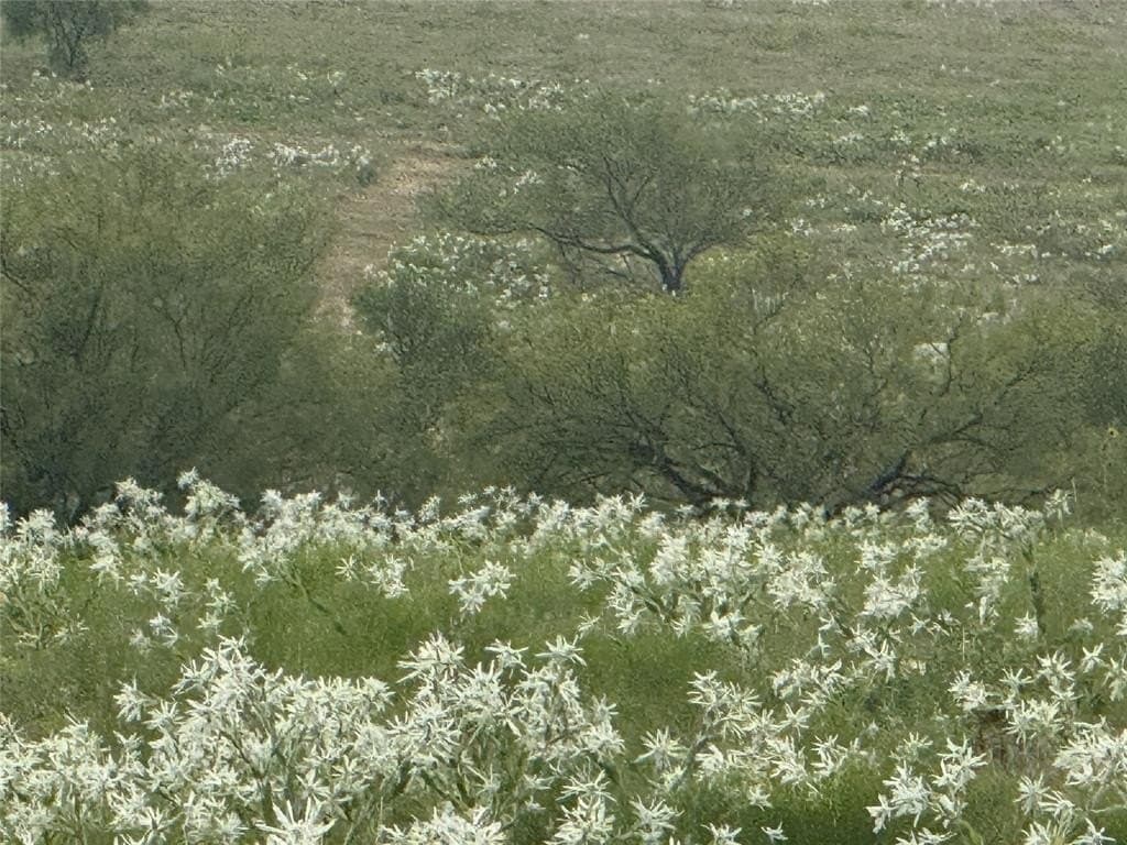 10.1 acres in Wise County - photo 3