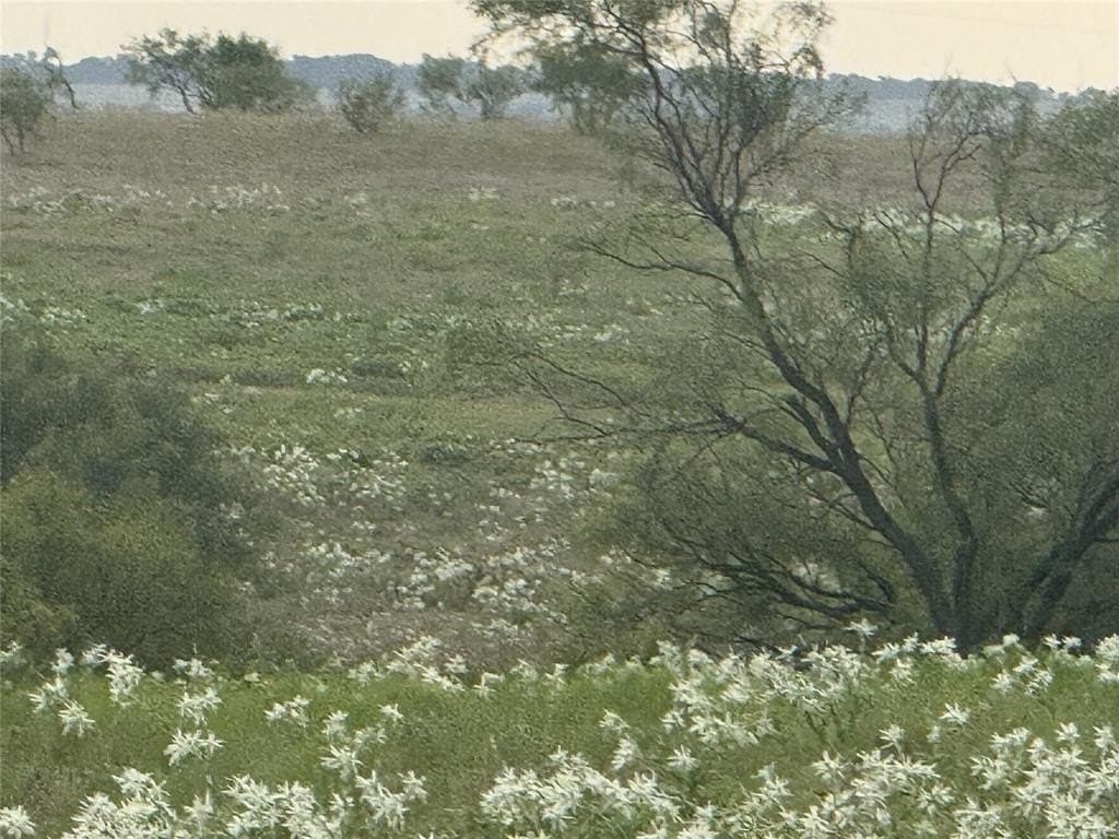 10.1 acres in Wise County - photo 2