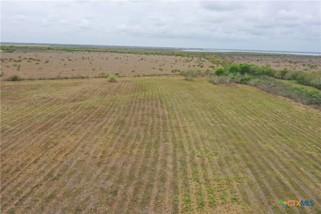 32.93 acres in Calhoun County - photo 5