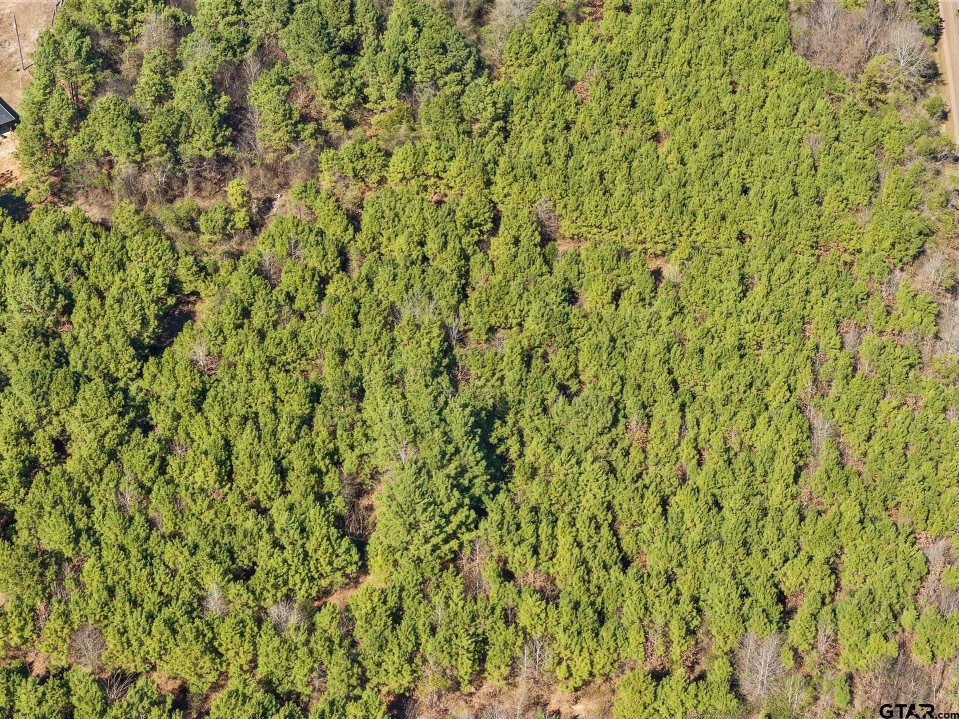 2.35 acres in Camp County - photo 5