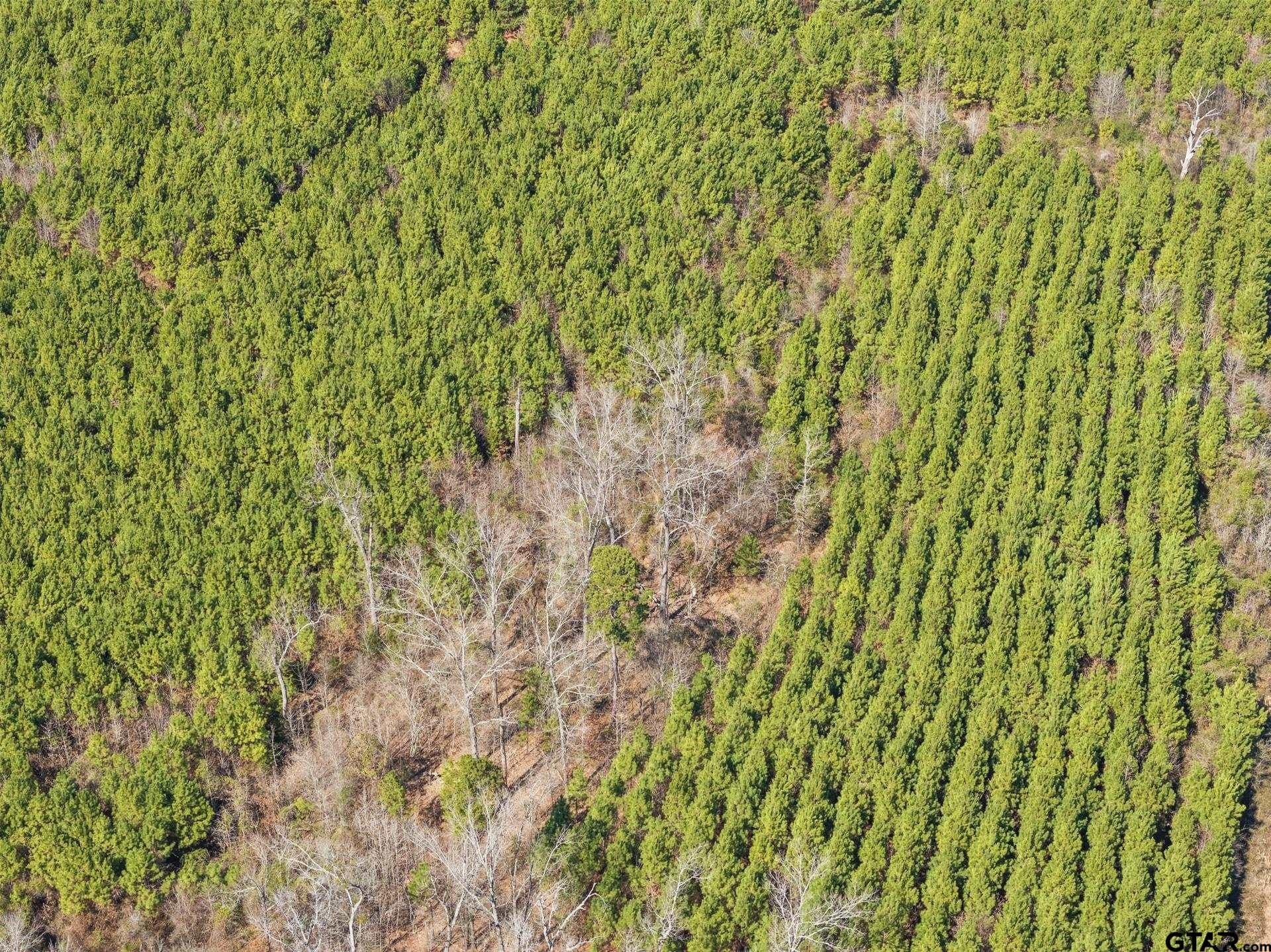 2.35 acres in Camp County - photo 4
