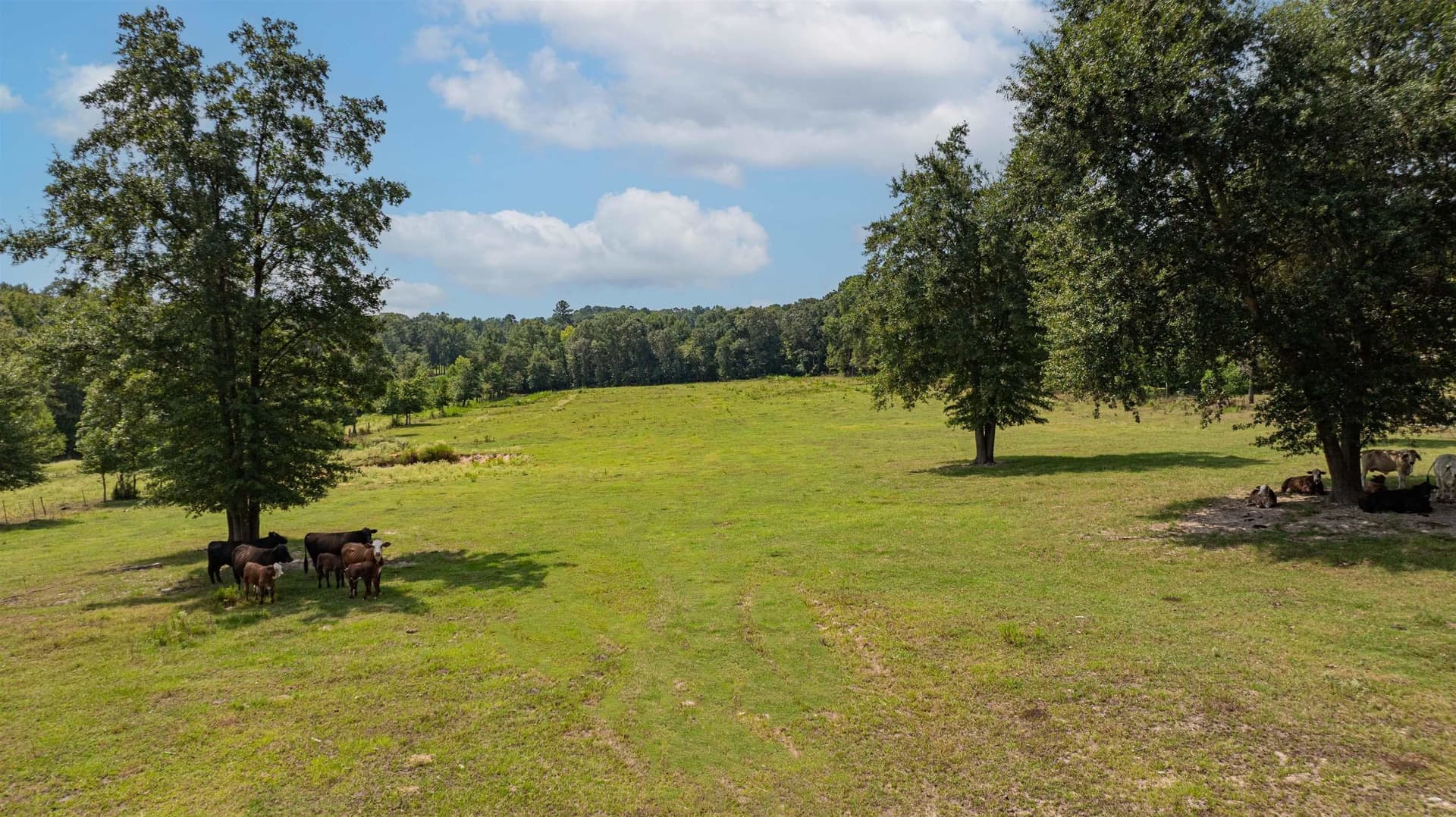 28.02 acres in Upshur County - photo 42