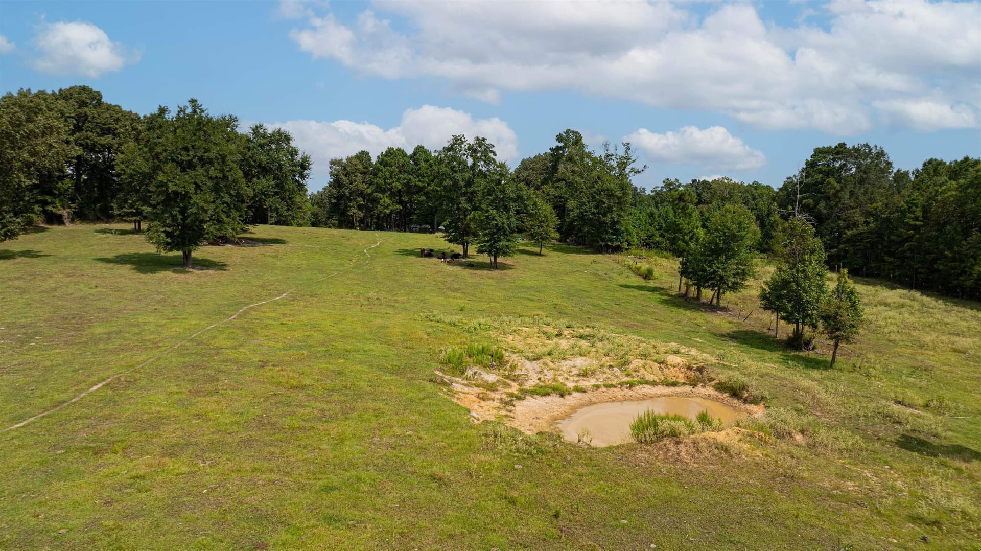28.02 acres in Upshur County - photo 41