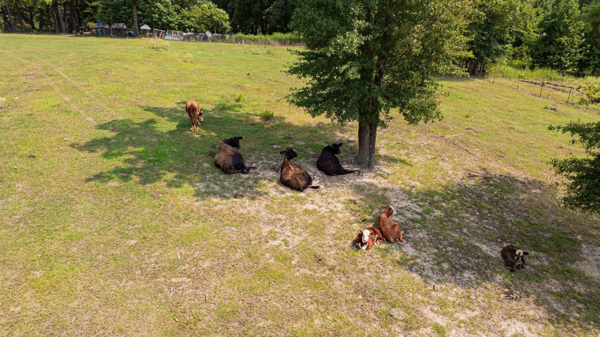 28.02 acres in Upshur County - photo 45