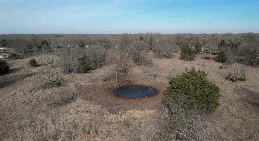 16 acres in Navarro County - photo 8