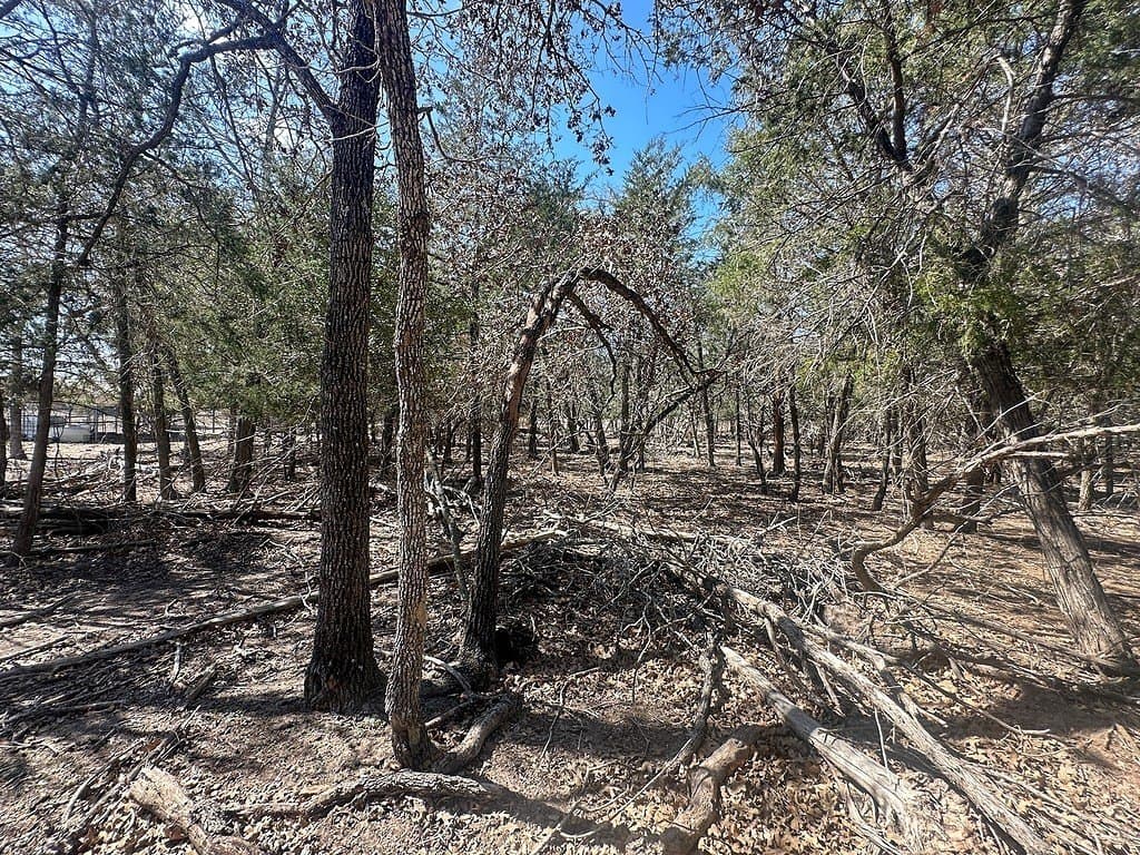 5.5 acres in Fayette County - photo 10