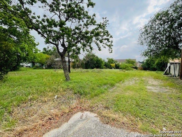 0.25 acres in Bexar County - photo 3