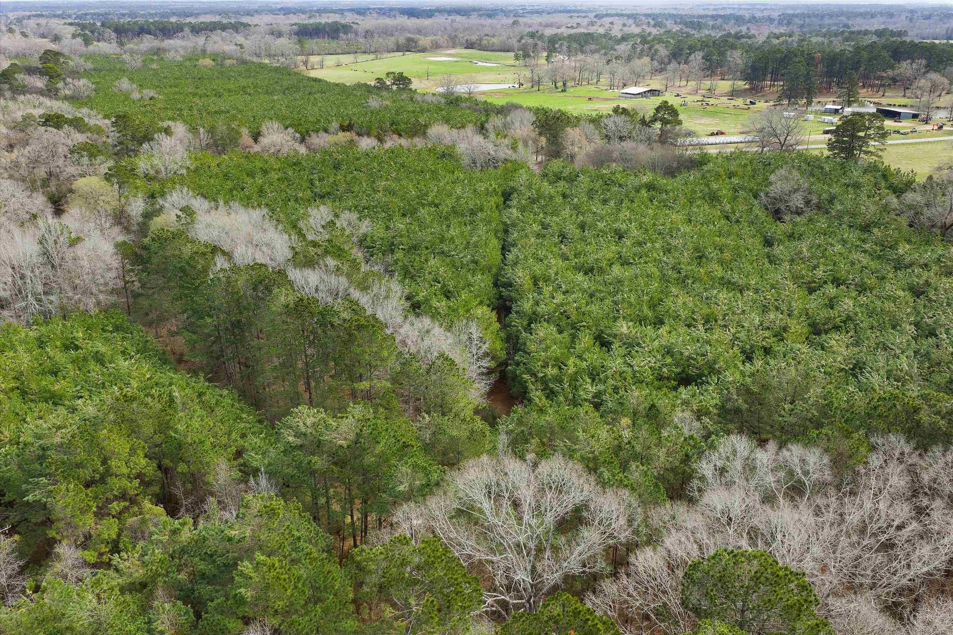 22 acres in Shelby County - photo 5