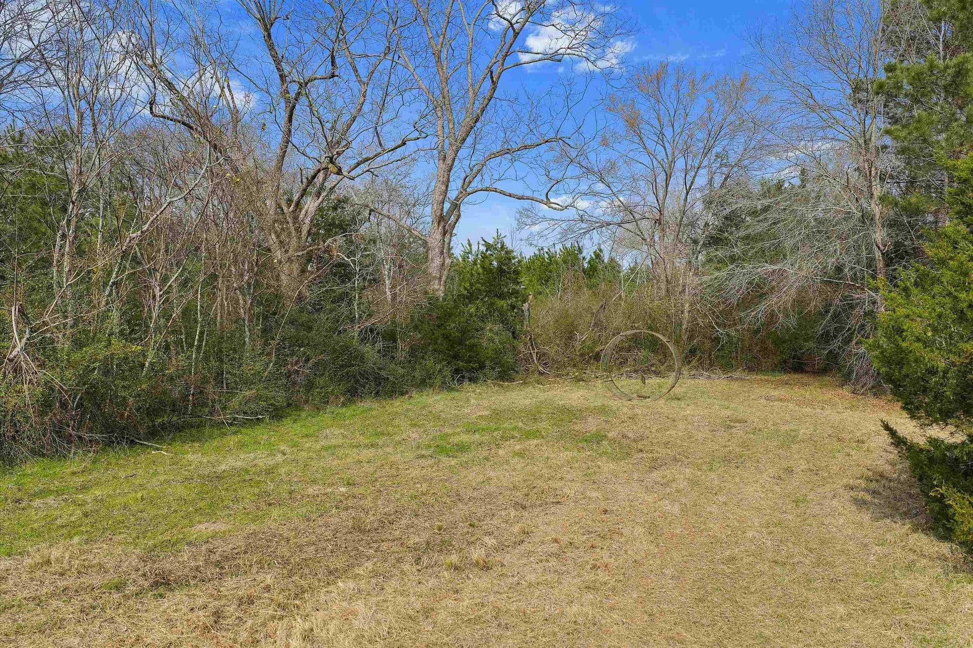 22 acres in Shelby County - photo 9