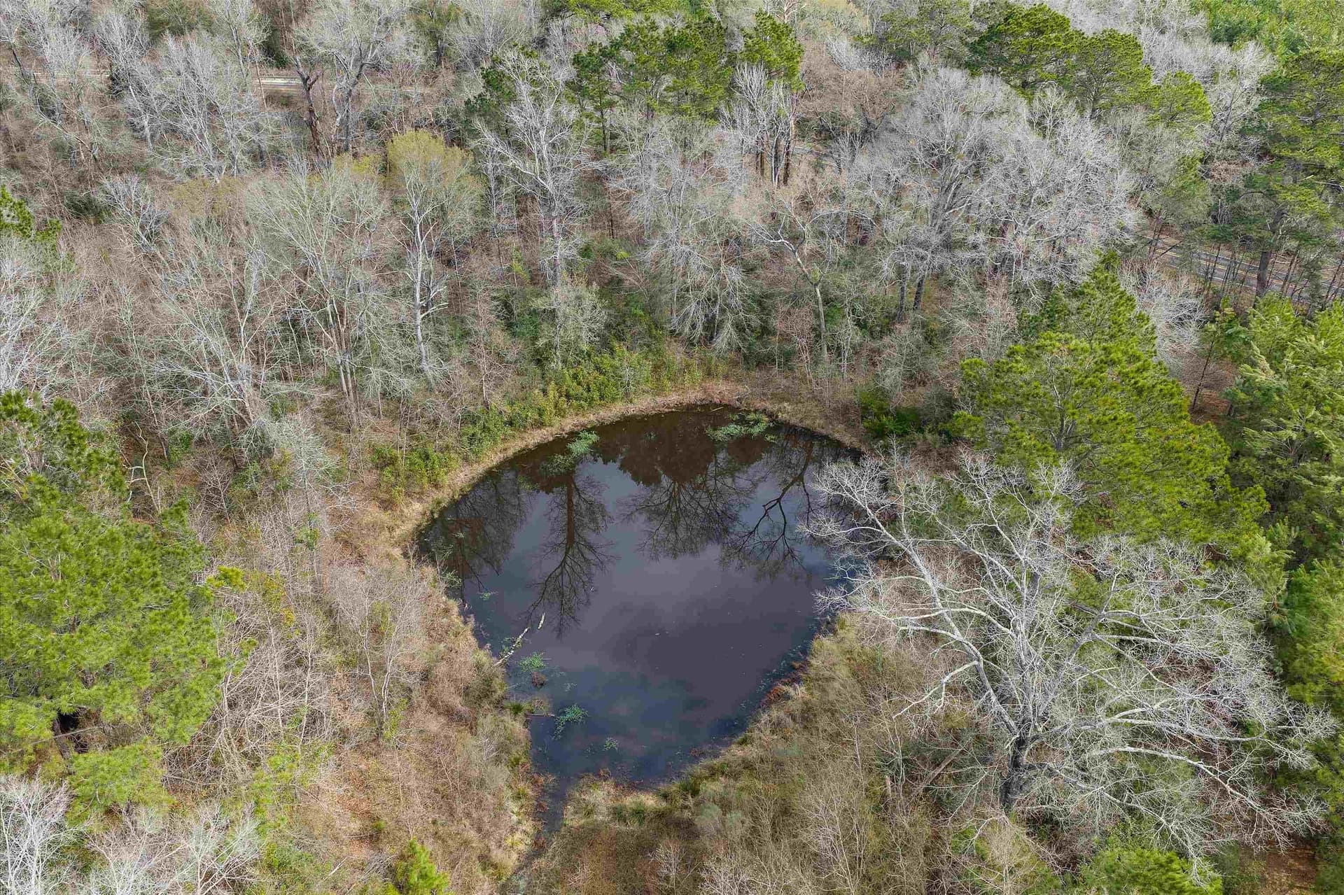 22 acres in Shelby County - photo 7