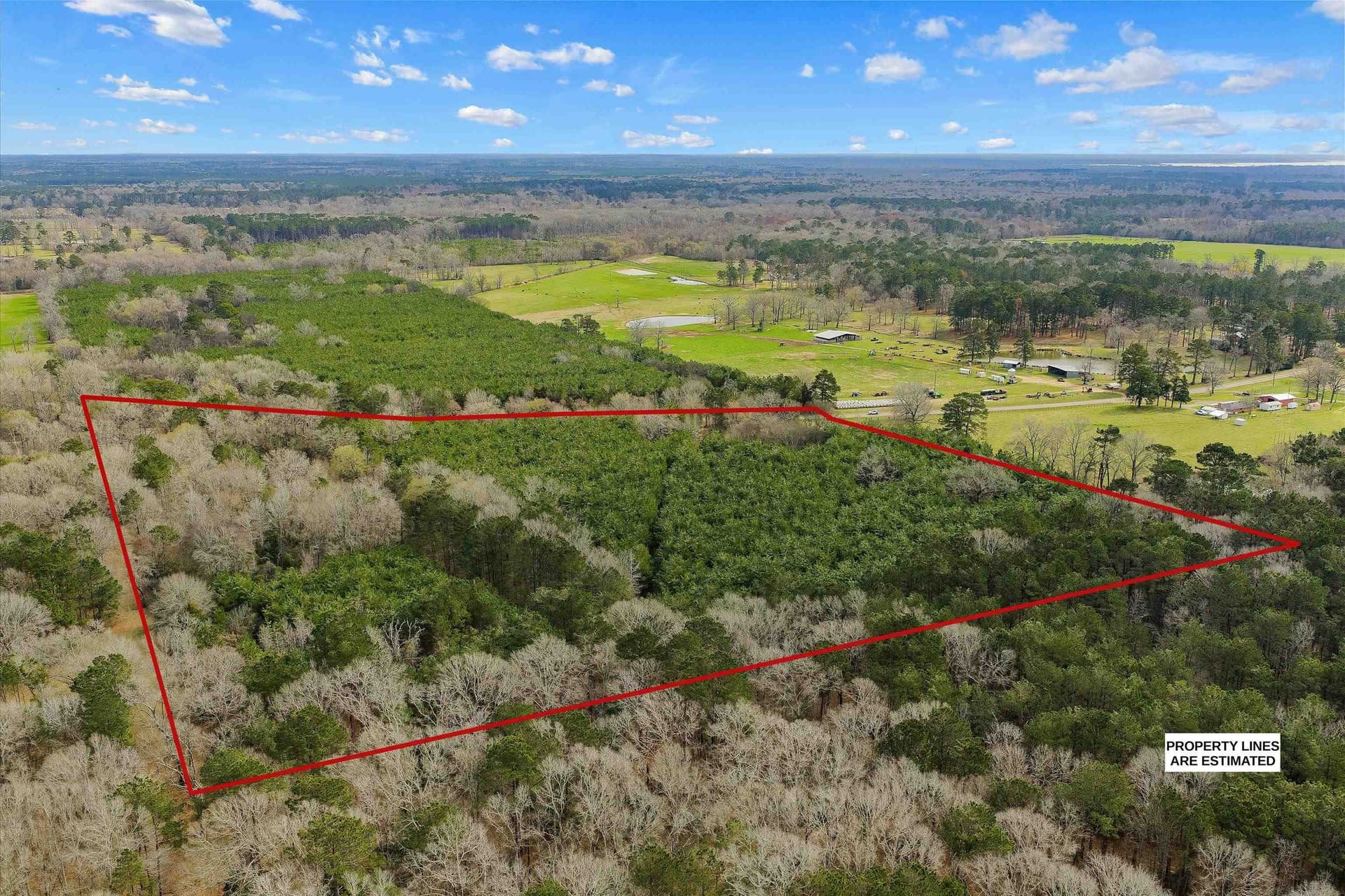 22 acres in Shelby County - photo 4