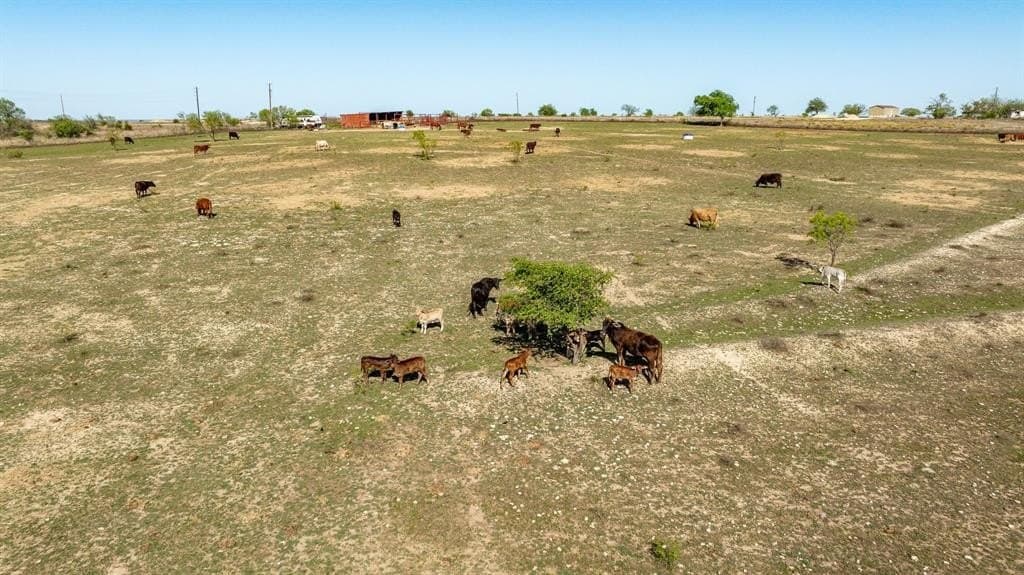 131.24 acres in Comanche County - photo 22