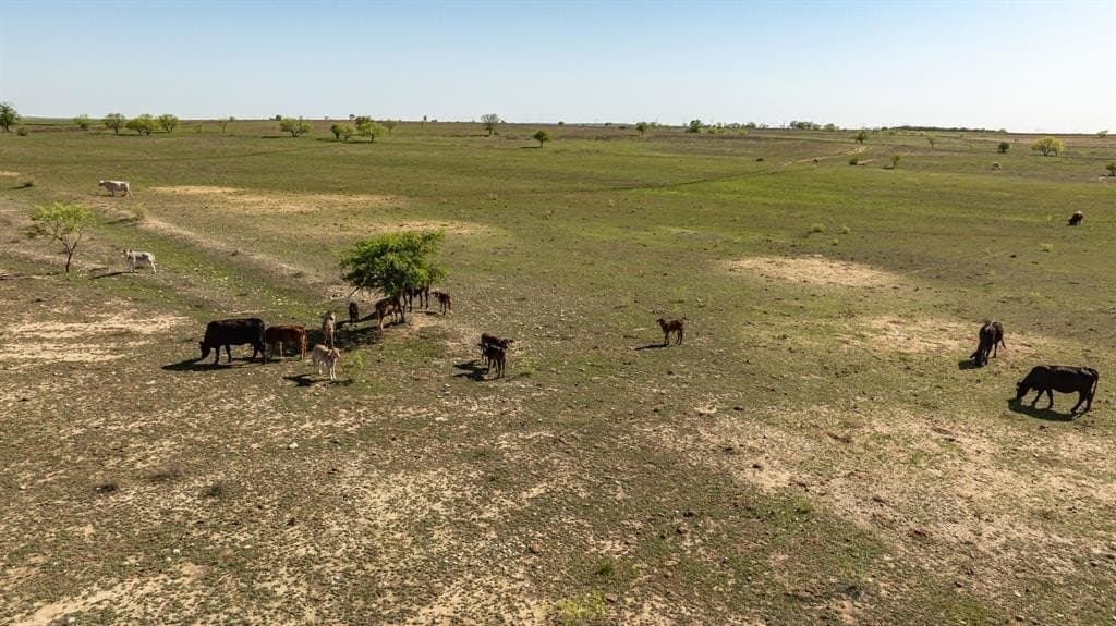 131.24 acres in Comanche County - photo 21