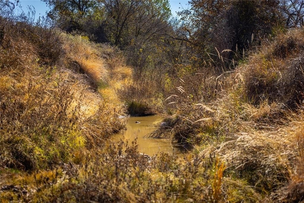 14 acres in Wise County - photo 3