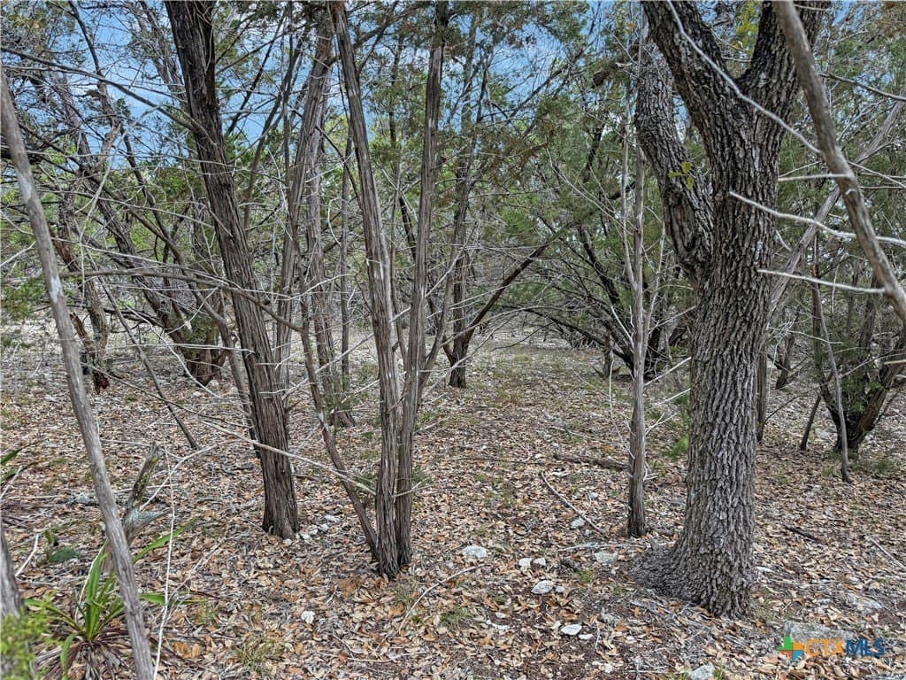 0.24 acres in Comal County - photo 3