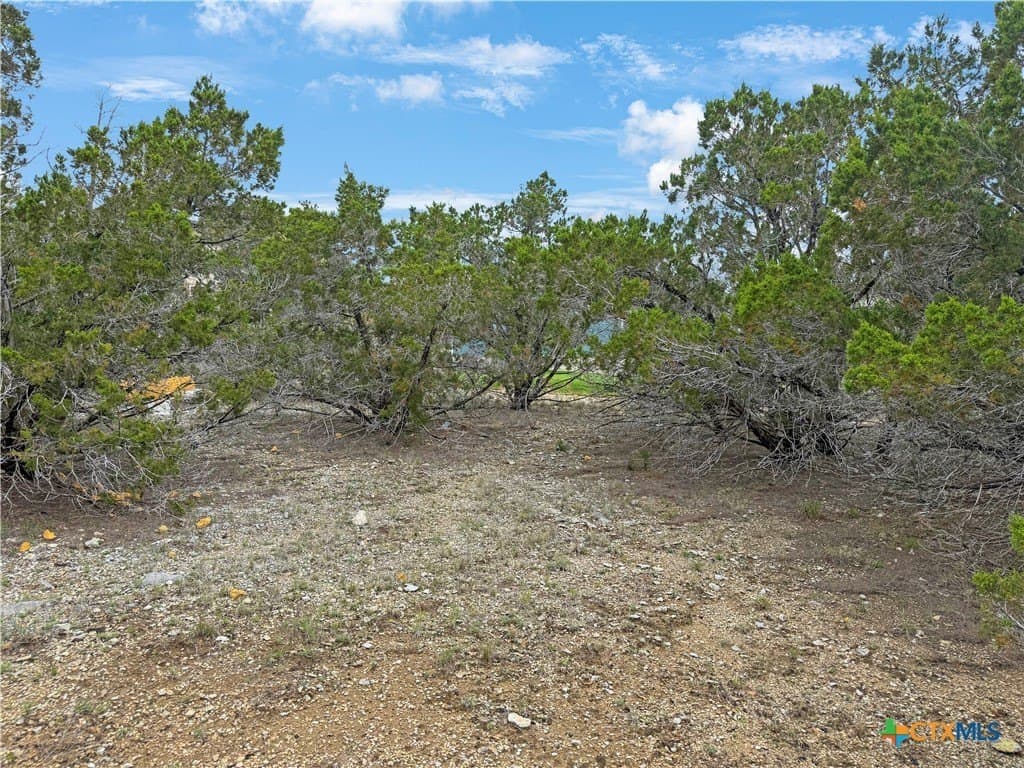 0.24 acres in Comal County - photo 4