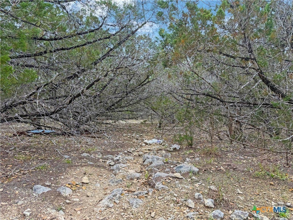 0.24 acres in Comal County - photo 6