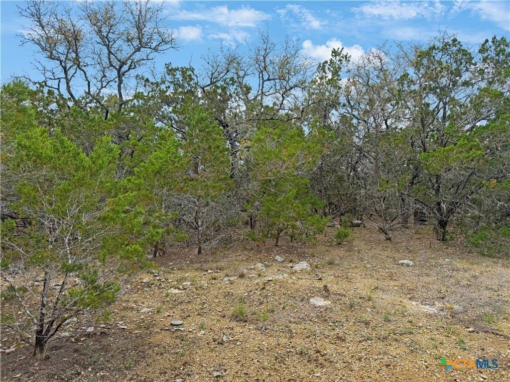 0.24 acres in Comal County - photo 8