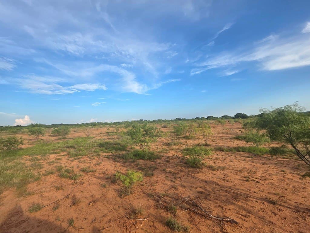 109 acres in Nolan County - photo 10
