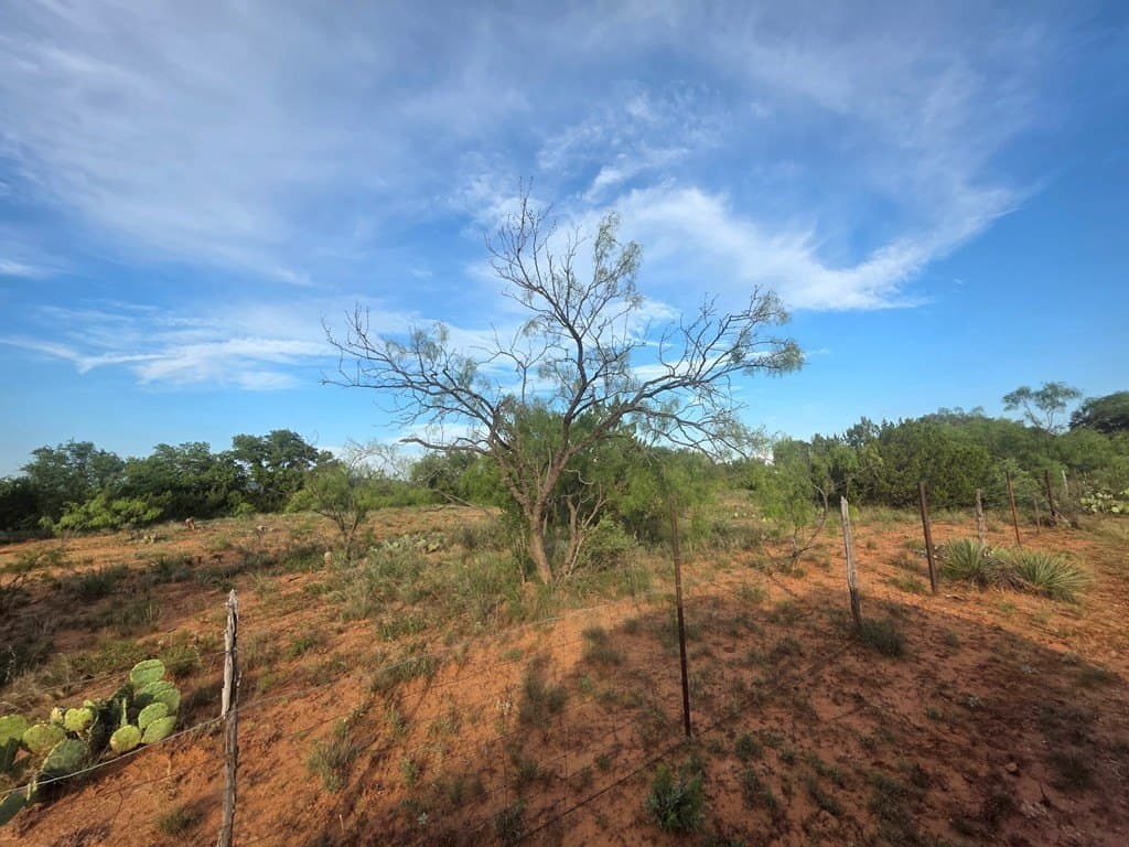 109 acres in Nolan County - photo 20