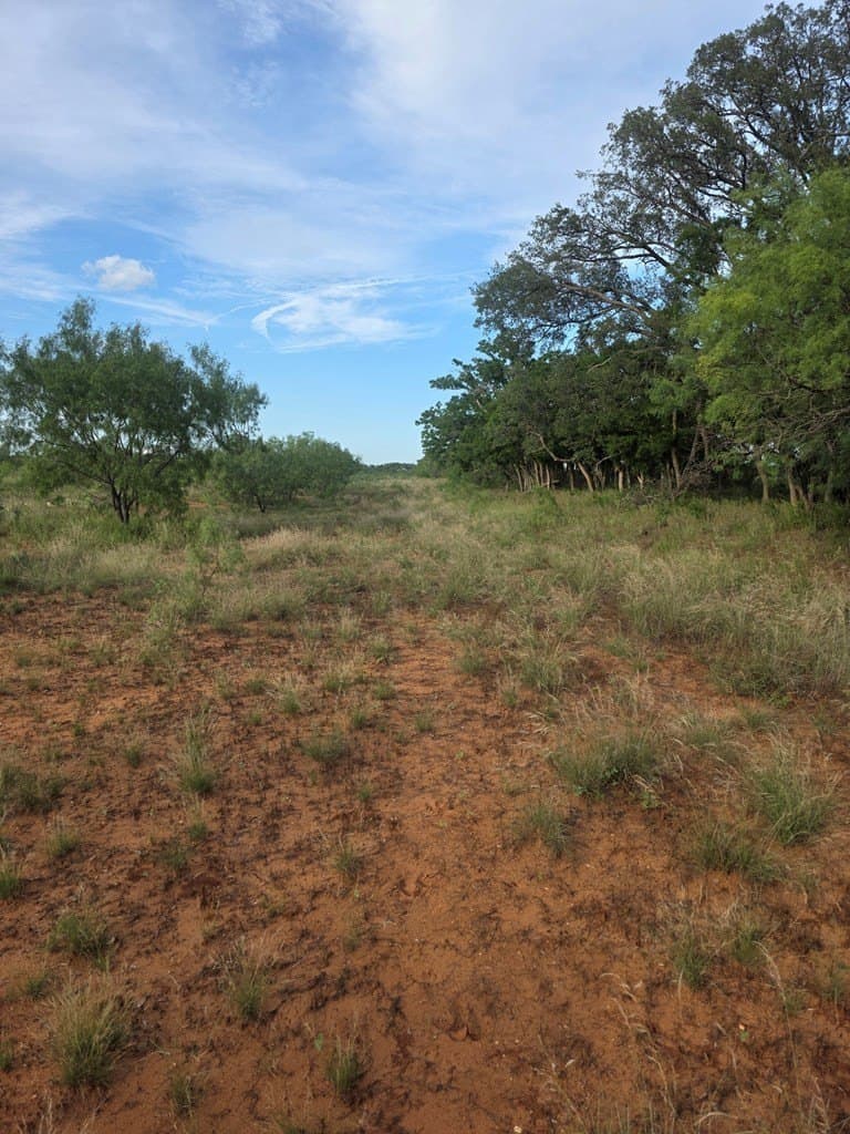 109 acres in Nolan County - photo 28