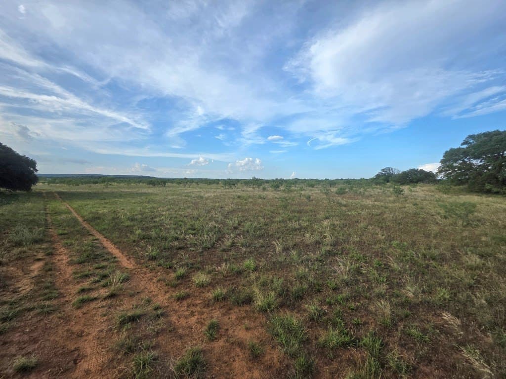 109 acres in Nolan County - photo 32