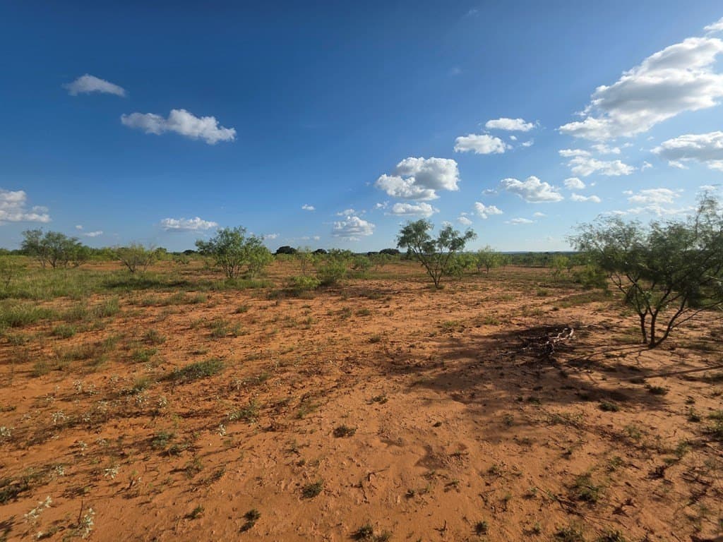 109 acres in Nolan County - photo 46