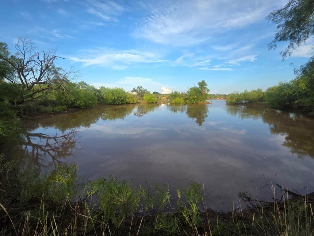 109 acres in Nolan County - photo 3
