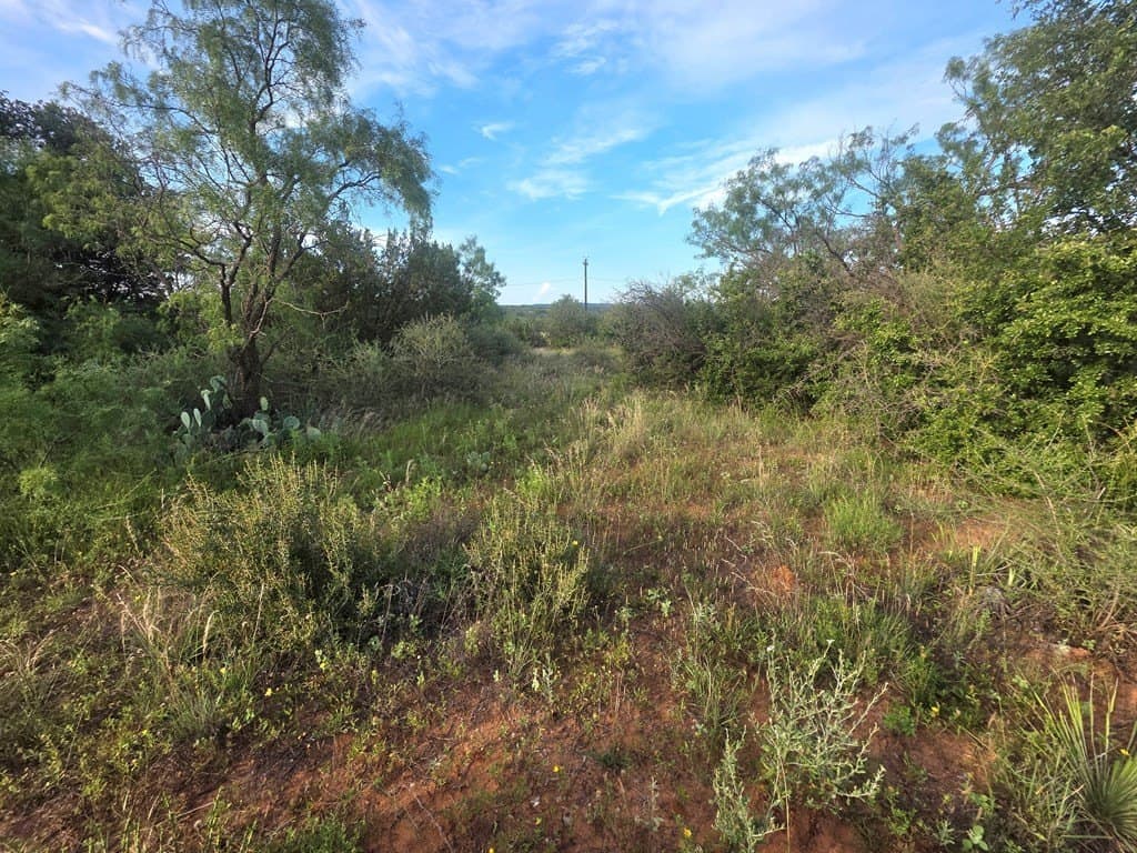 109 acres in Nolan County - photo 18