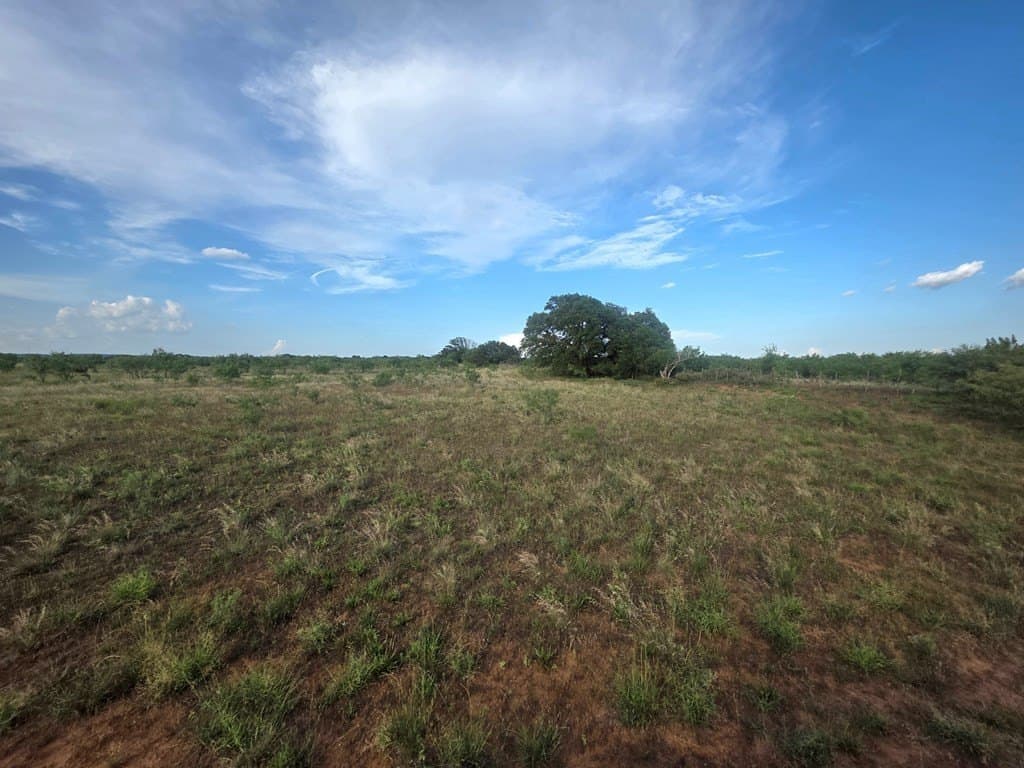 109 acres in Nolan County - photo 31