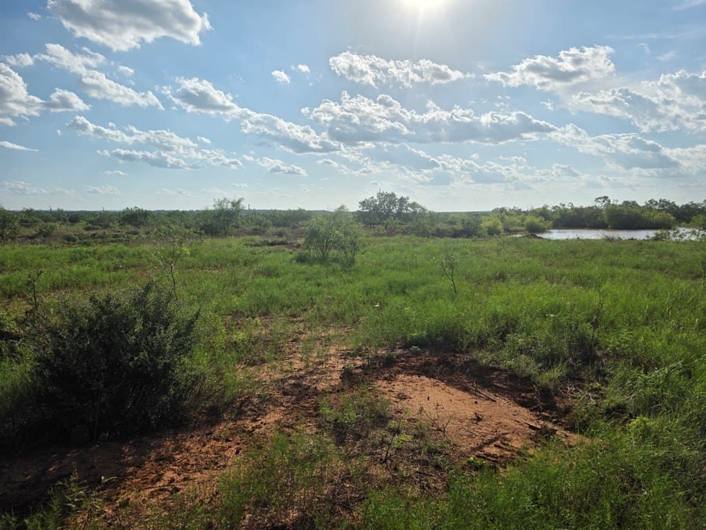 109 acres in Nolan County - photo 49
