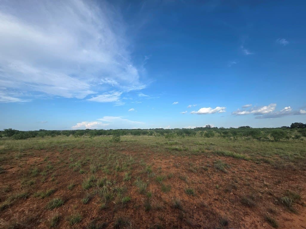 109 acres in Nolan County - photo 36