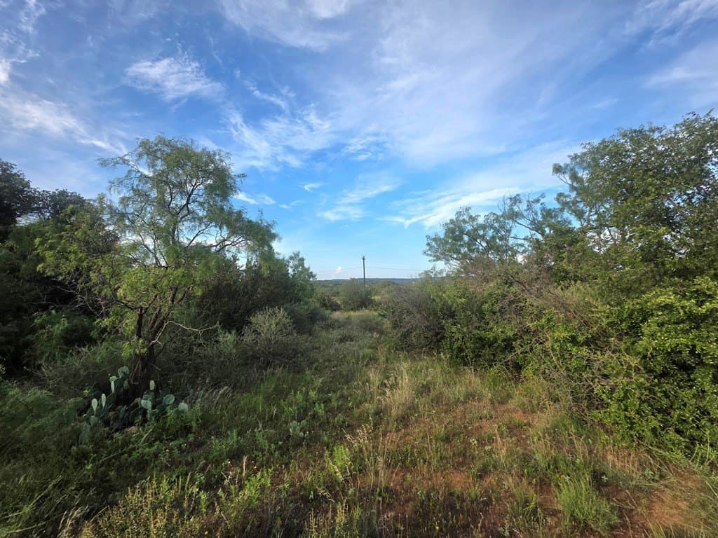 109 acres in Nolan County - photo 17