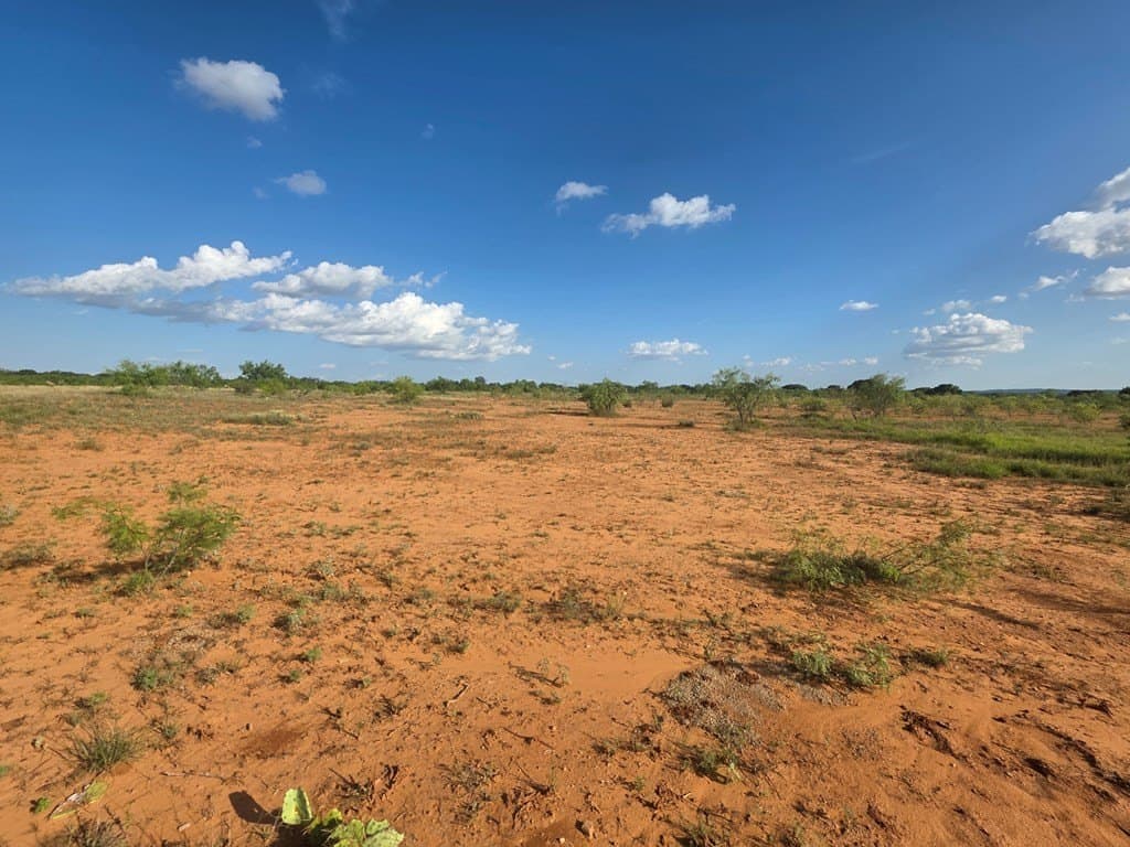 109 acres in Nolan County - photo 44