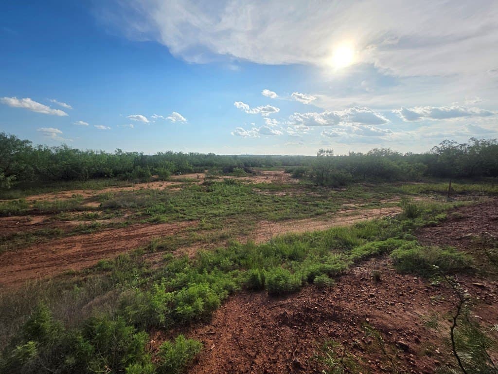 109 acres in Nolan County - photo 38