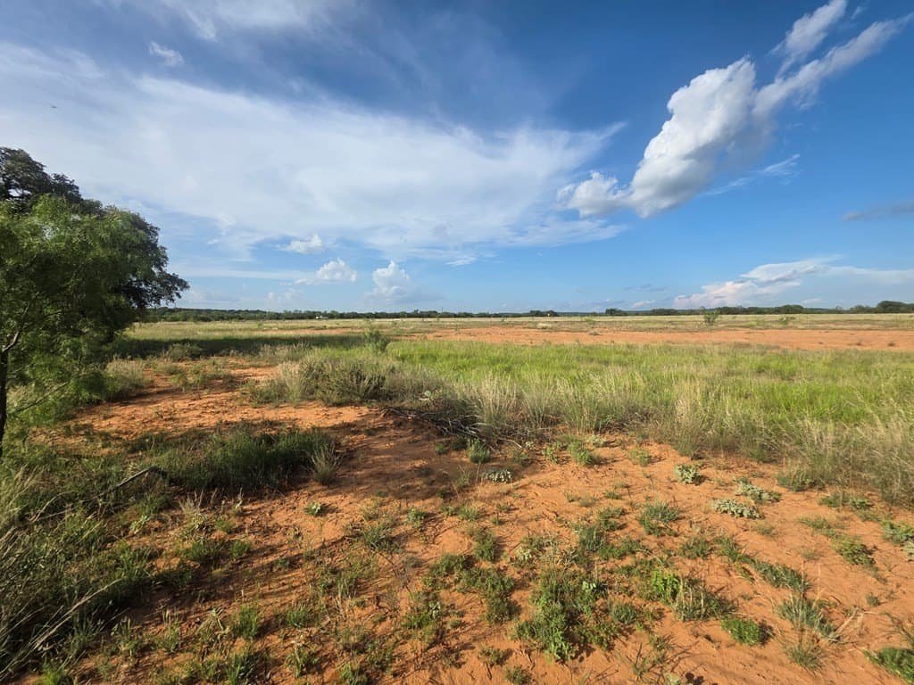 109 acres in Nolan County - photo 45