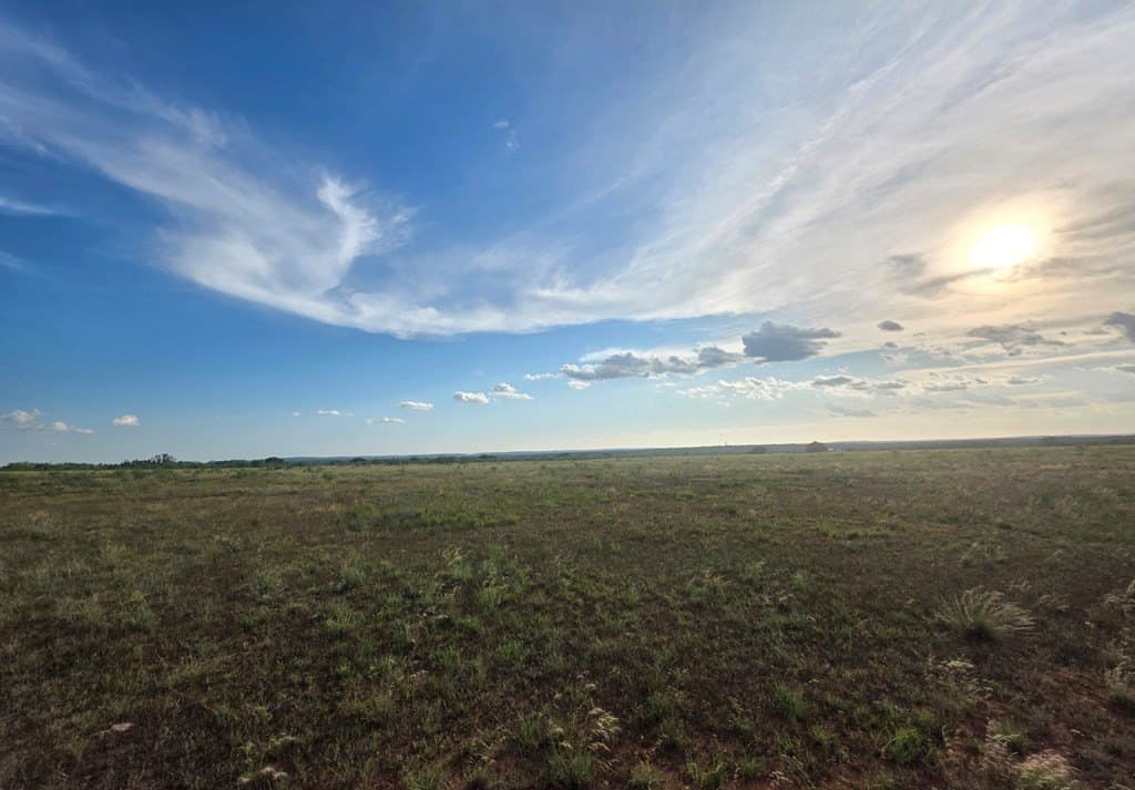 109 acres in Nolan County - photo 16