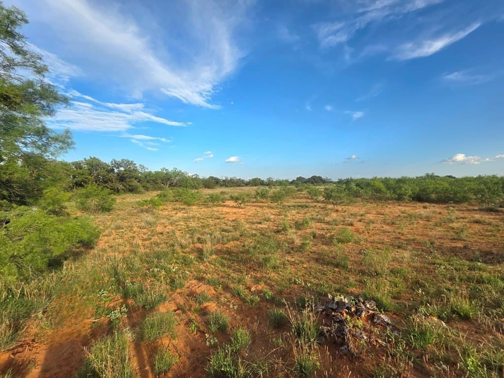 109 acres in Nolan County - photo 23