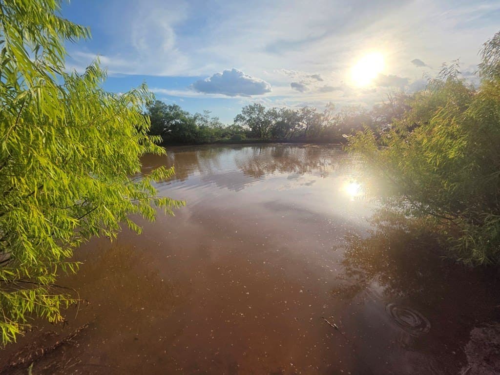 109 acres in Nolan County - photo 6