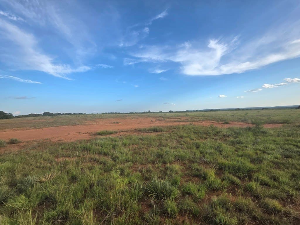 109 acres in Nolan County - photo 13