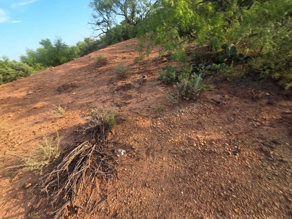 109 acres in Nolan County - photo 5