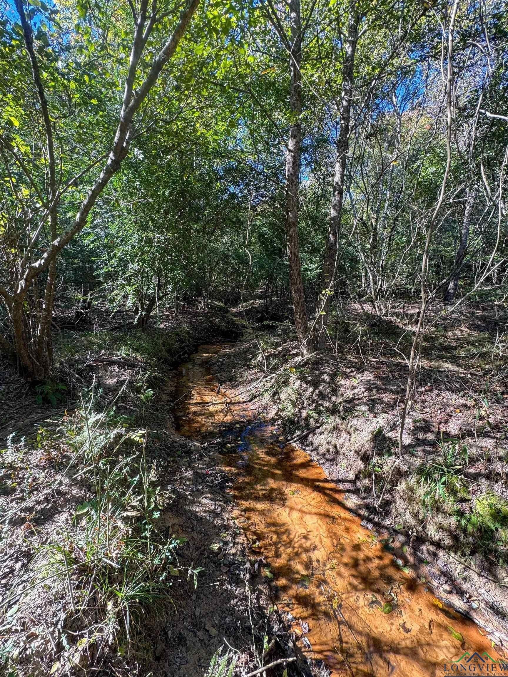 9.19 acres in Cass County - photo 11