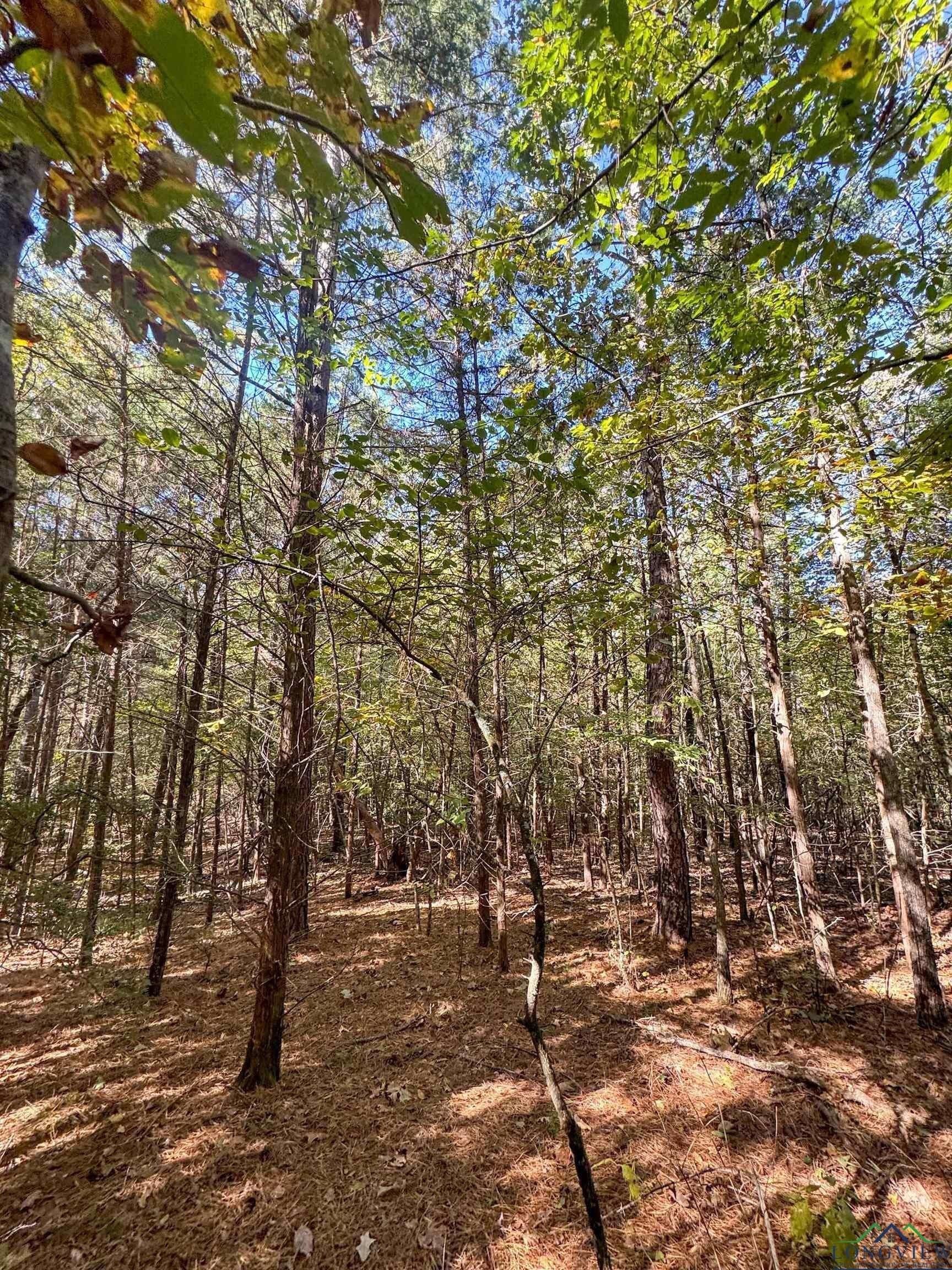 9.19 acres in Cass County - photo 6