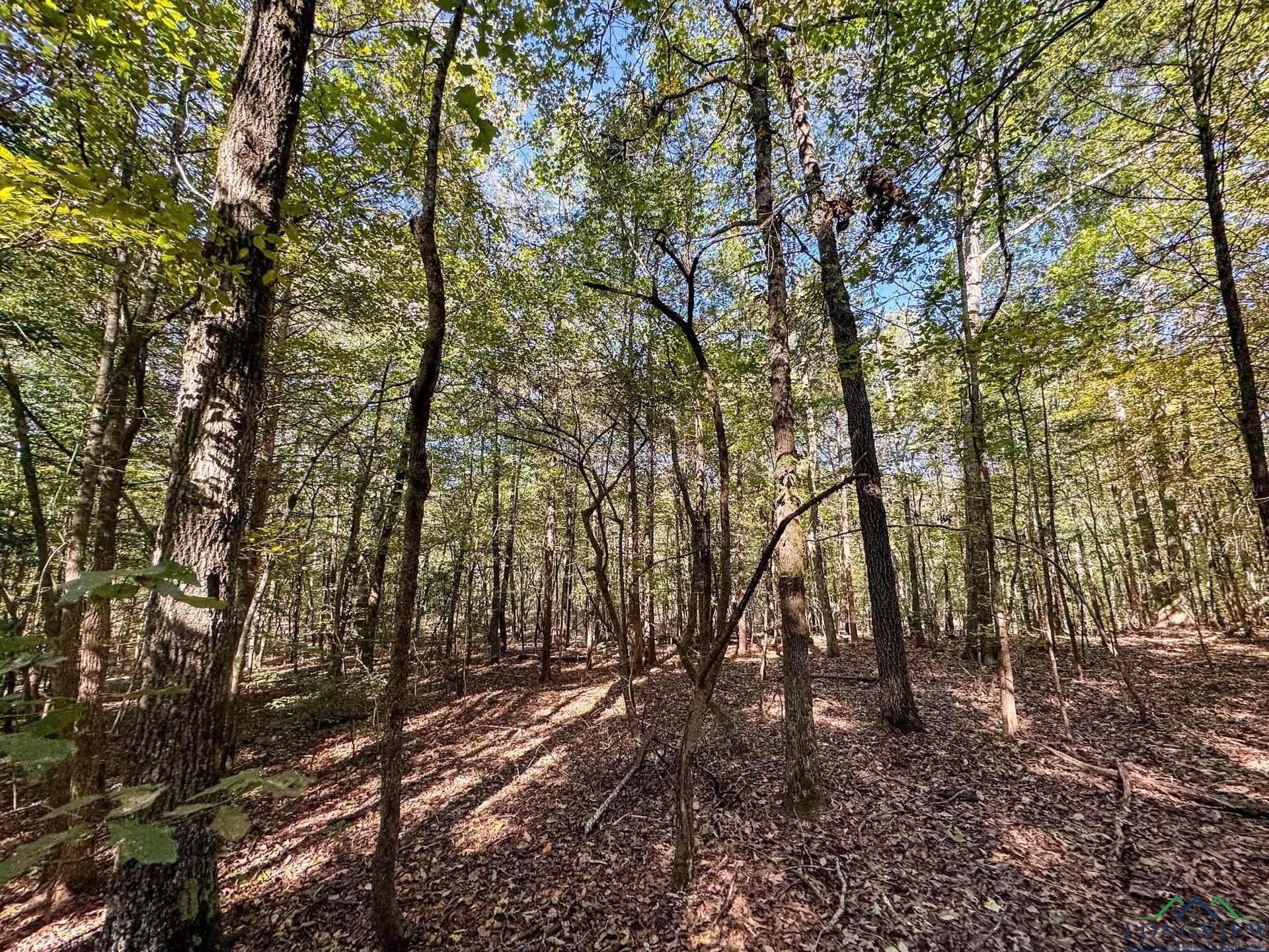 9.19 acres in Cass County - photo 9