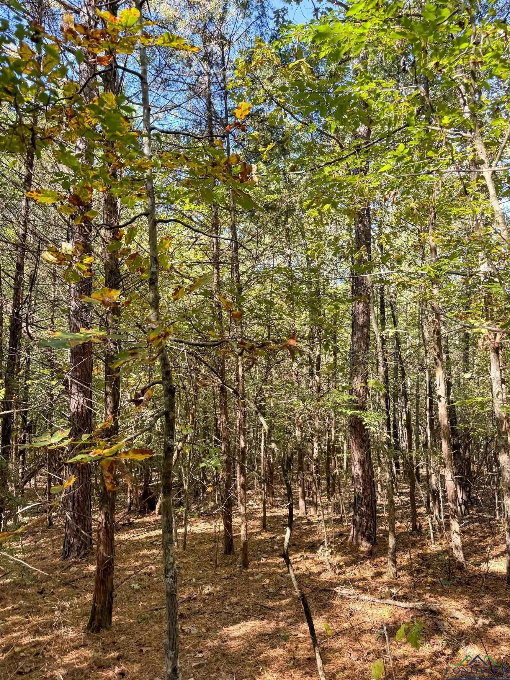 9.19 acres in Cass County - photo 10
